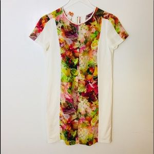 Club Monaco dress. Size 0